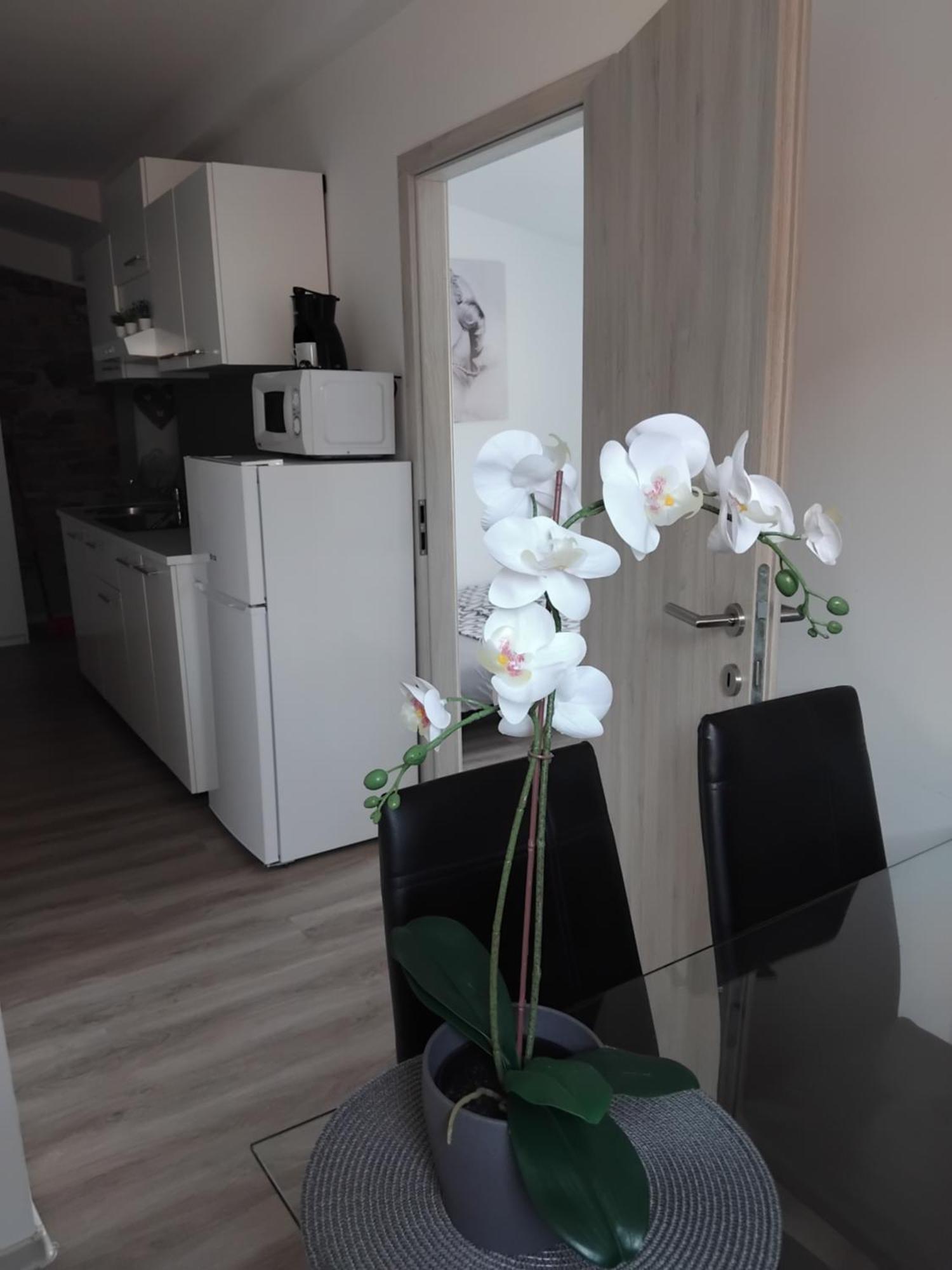 Apartmaja Eva&Pia Копер Екстер'єр фото